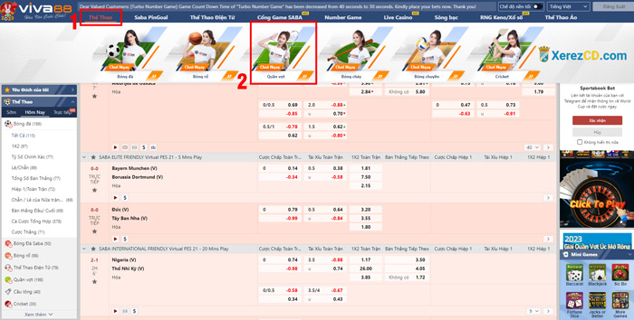 Cá Cược Tennis Trực Tuyến – Bí Kíp Thành Công