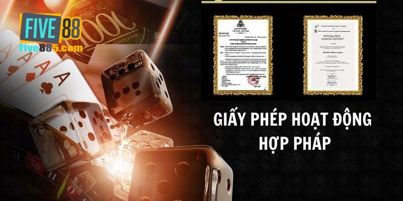 Những loại giấy phép hoạt động hợp pháp hiện nay 